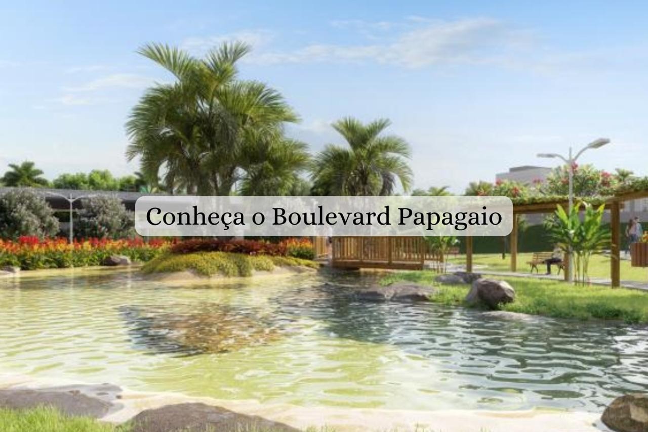 Banner lançamento